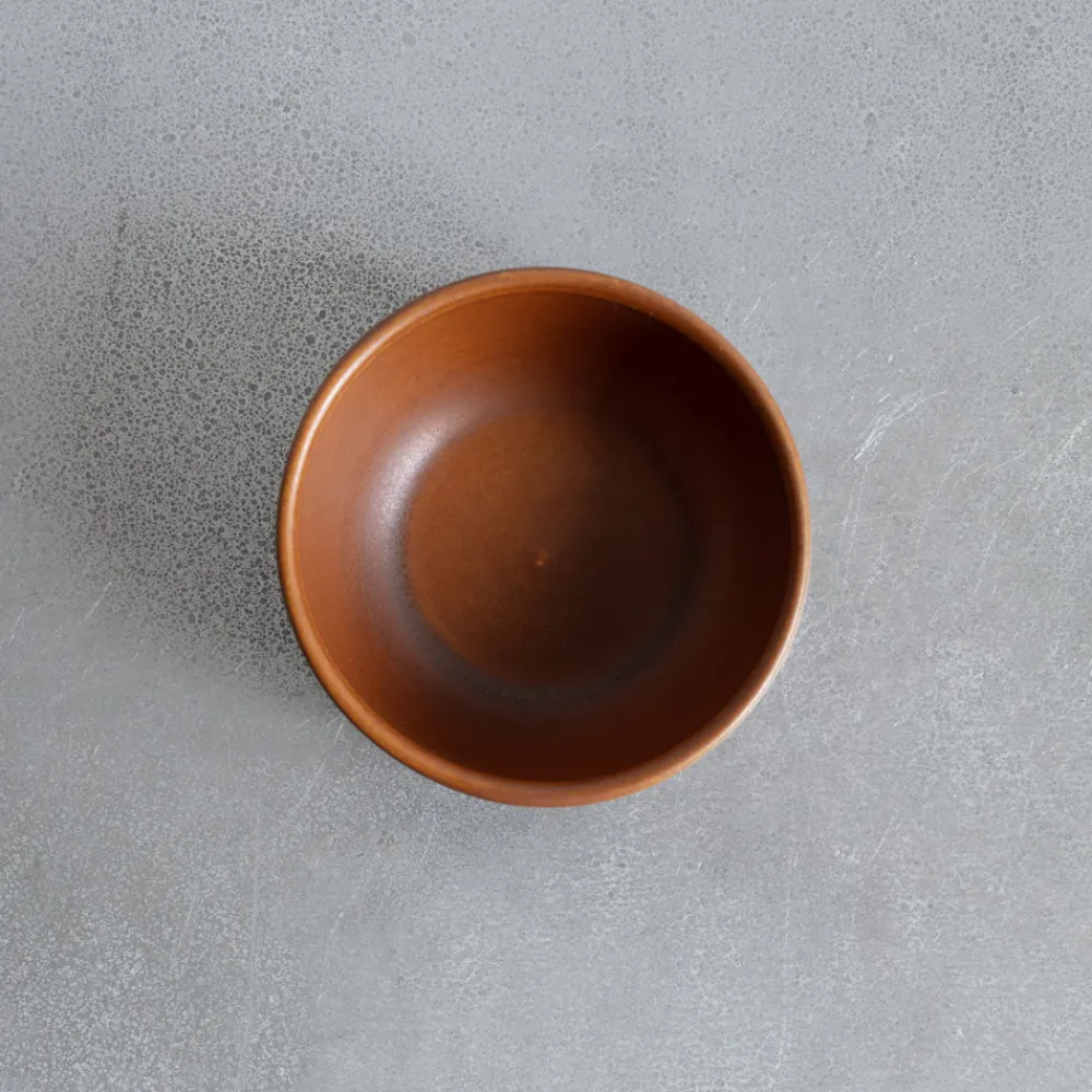 559 STONEWARE Bol en grès fin - Cannelle