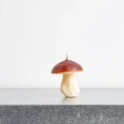 1352 CERERIA INTRONA SRL Bougie - Champignon