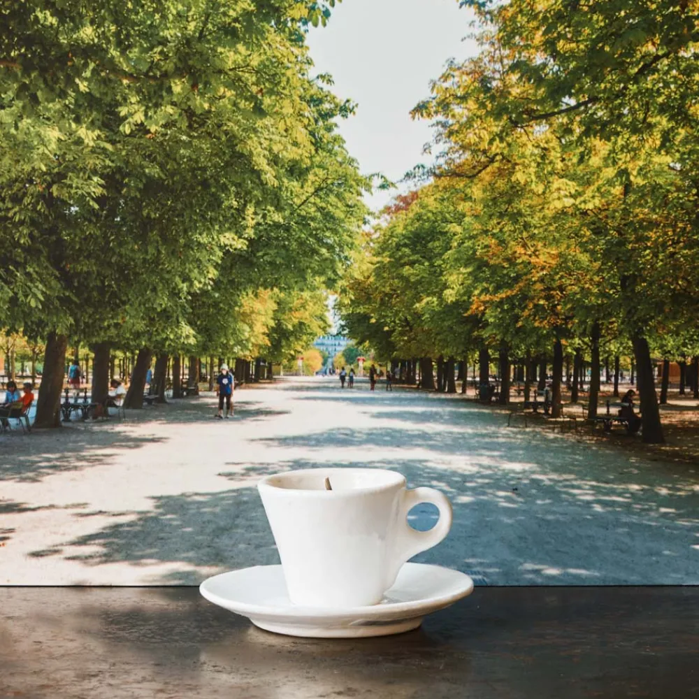 1352 CERERIA INTRONA SRL Bougie - Tasse à café