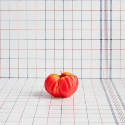 1352 CERERIA INTRONA SRL Bougie - Tomate Coeur de Boeuf