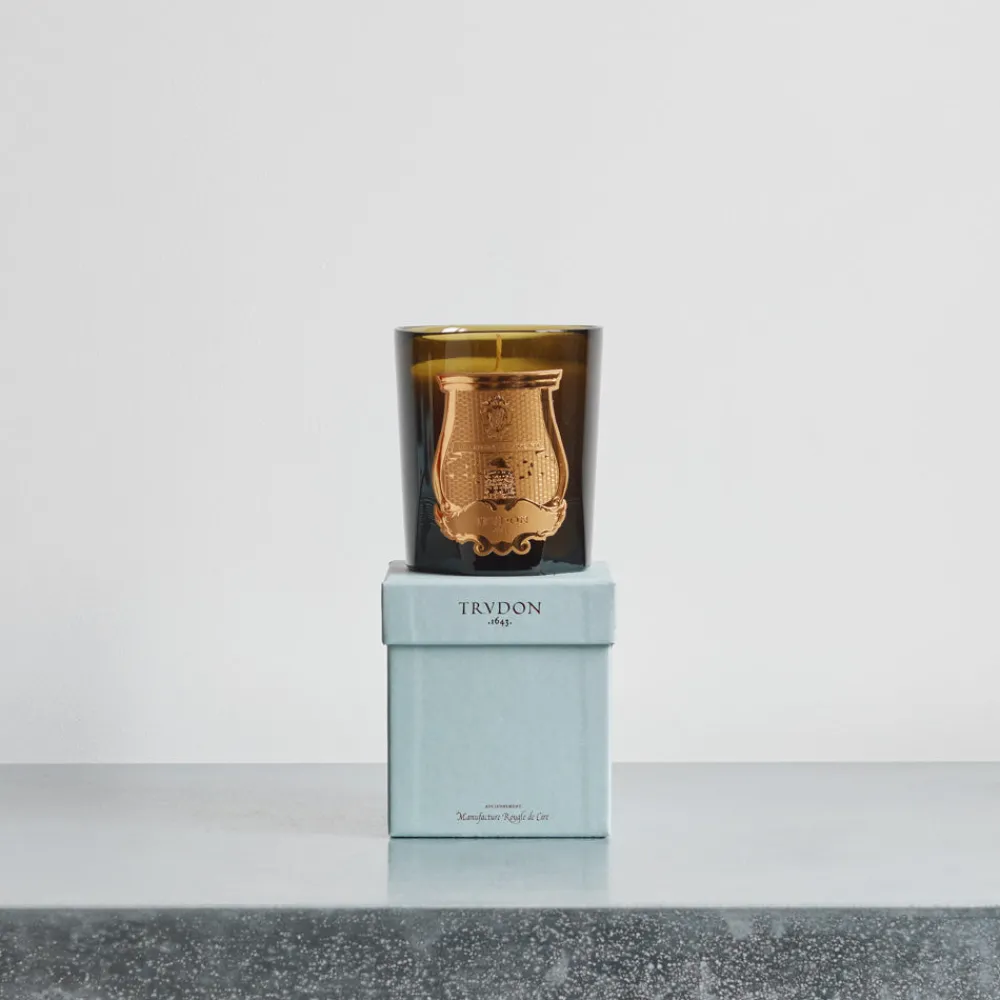 241 SAS CIR Bougie parfumée Trudon 270 g - Abd El Kader