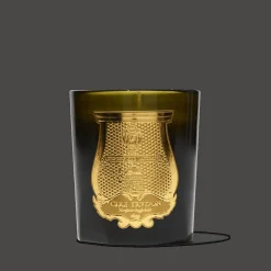 241 SAS CIR Bougie parfumée Trudon 270 g - Spiritus Sancti