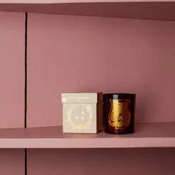 241 SAS CIR Bougie parfumée Trudon 270 g - Cire