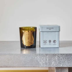 241 SAS CIR Bougie parfumée Trudon 270 g - Madeleine