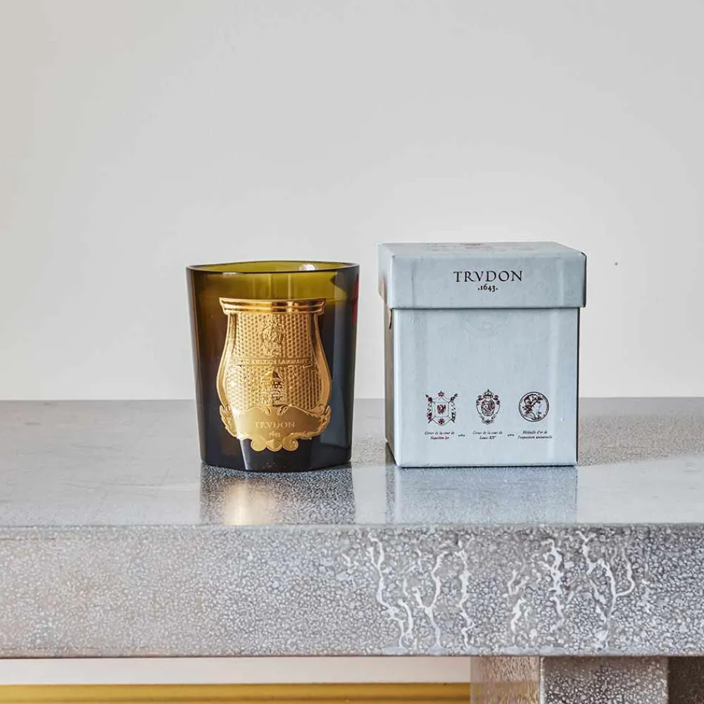 241 SAS CIR Bougie parfumée Trudon 270 g - Madeleine