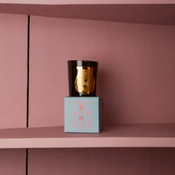 241 SAS CIR Bougie parfumée Trudon 270g - Dada