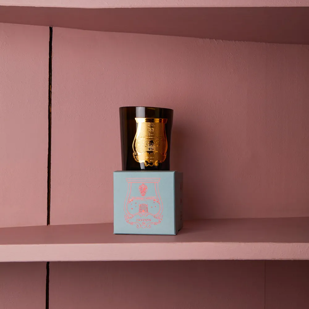 241 SAS CIR Bougie parfumée Trudon 270g - Dada