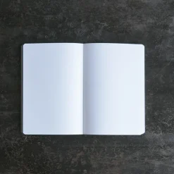 1239 NUUNA Carnet - Surface Transcendence
