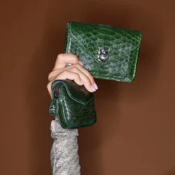 Women Claris Virot - Porte Carte Python Alex - Vert
