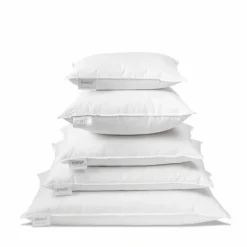 1926 PATO RICO Intérieur de coussin en plume d'oie - Blanc