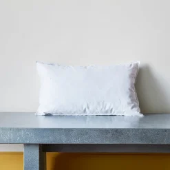 1926 PATO RICO Intérieur de coussin en plume d'oie - Blanc