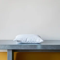 1926 PATO RICO Intérieur de coussin en plume d'oie - Blanc