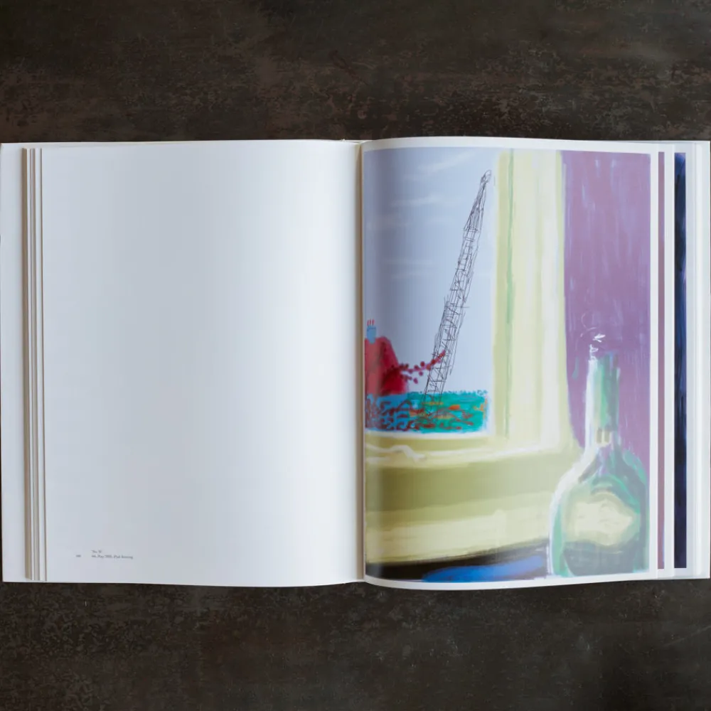 1305 TASCHEN Livre - David Hockney my Window