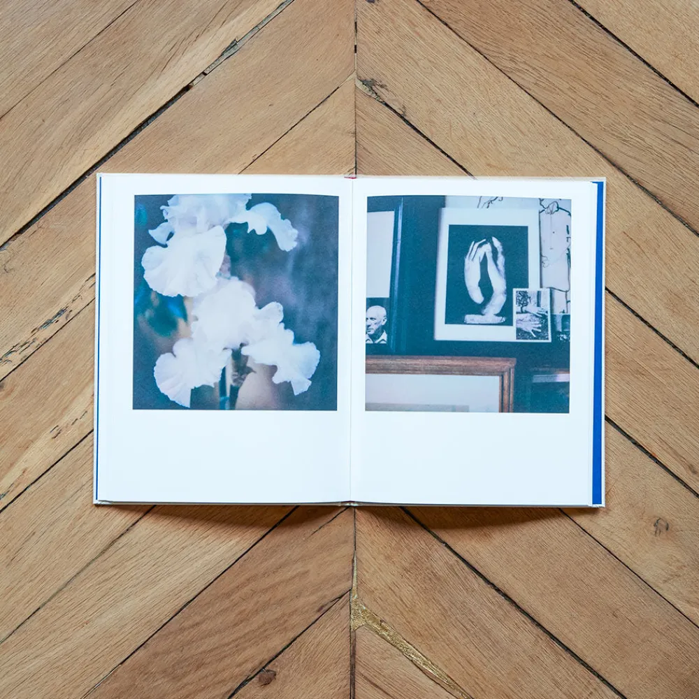 1212 INTERART Livre - François Halard : 56 Days in Arles