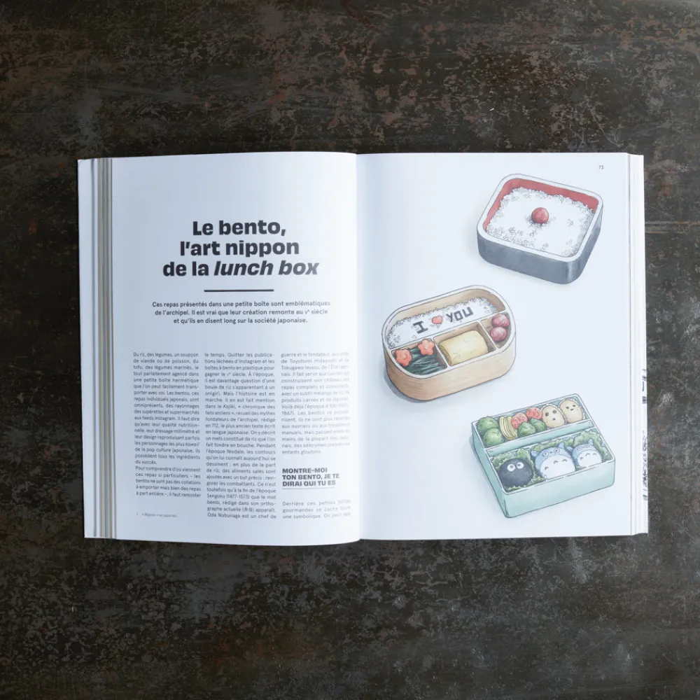 746 HACHETTE EDITIONS Livre - Japan Cantina
