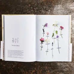 746 HACHETTE EDITIONS Livre - Les Fleurs de Zoe De Las Cases