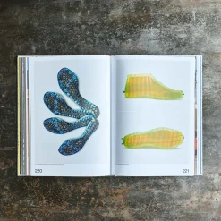 1212 INTERART Livre - Nike: Form Follows Motion