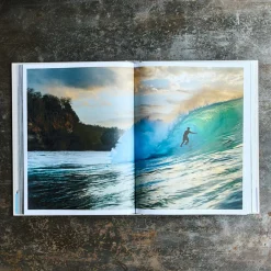 1751 POLLEN DIFFUSION DIFPOP Livre - SURF
