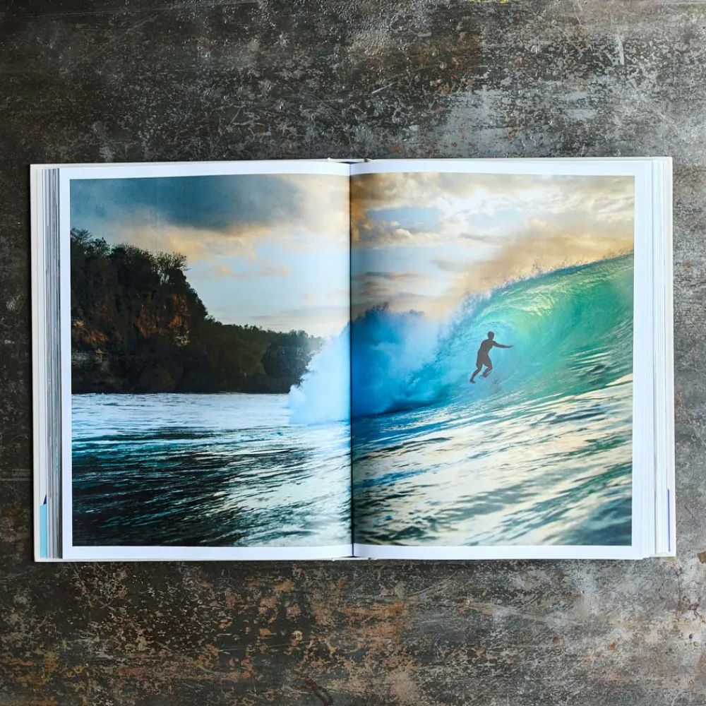1751 POLLEN DIFFUSION DIFPOP Livre - SURF
