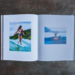 1751 POLLEN DIFFUSION DIFPOP Livre - Surf Porn