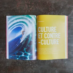 2089 GM EDITIONS Livre - The Endless Summer