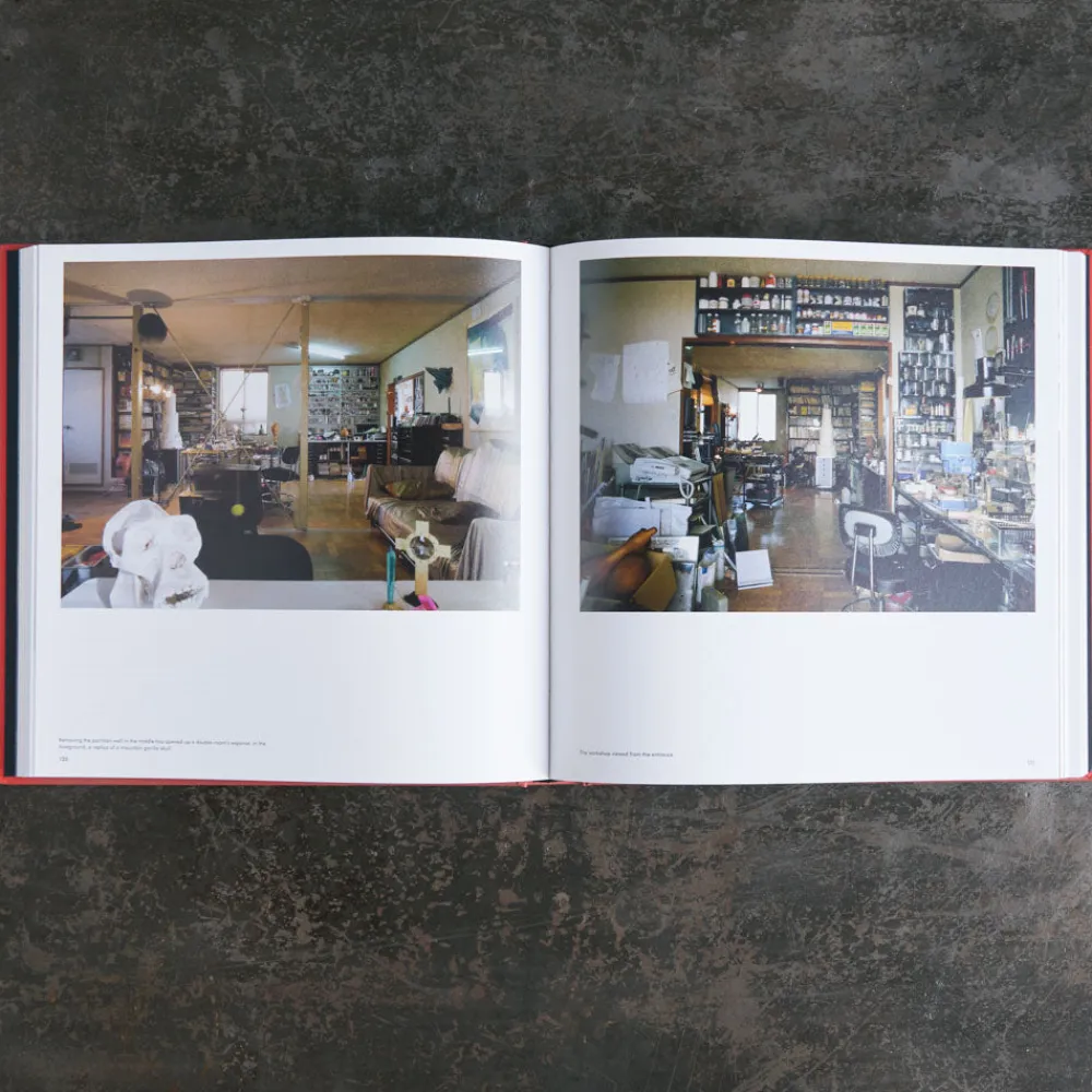 2181 PAGE 17 APS Livre - Tokyo Style