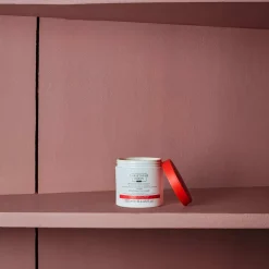 2956 CHRISTOPHE ROBIN Masque cheveux régénérant à l'huile de figue - Christophe Robin - 250 ml