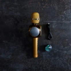 1845 VINYL FACTORY Micro Le Big Mike