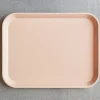 1500 CAMBRO Plateau en fibre de verre - Pêche