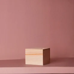 1139 BAZAR DE LUXE Porte-savon magnétique