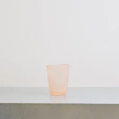 240 SERAFINO ZANI Verre à eau Memento - Pêche