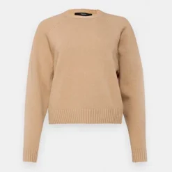 Women WEEKEND MAX MARA - Pull Gabbia - Chameau